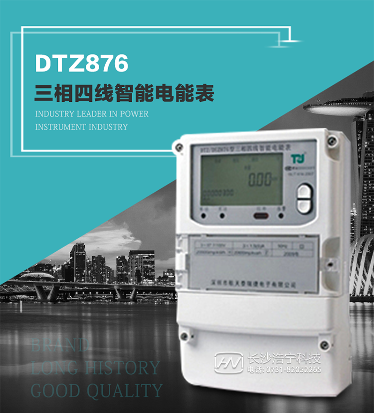 DTZ876型智能電能表是采用大規模集成電路，應用數字采樣處理技術及SMT工藝，根據工業用戶實際用電狀況所設計制造的具有現代先進水平的儀表。
該表性能指標符合GB/T 17215.321-2008《交流電測量設備 特殊要求》第21部分靜止式有功電能表（1級和2級）、GB/T 17215.322-2008《交流電測量設備 特殊要求》第22部分靜止式有功電能表（0.2S級和0.5S級）國家標準和DL/T 614–2007《多功能電能表》標準，其通信符合DL/T645–2007《多功能電能表通信協議》的要求，并兼容DL/T645–1997《多功能表通信規約》的要求，可根據功能定制需求符合多功能電能表的各項技術要求。